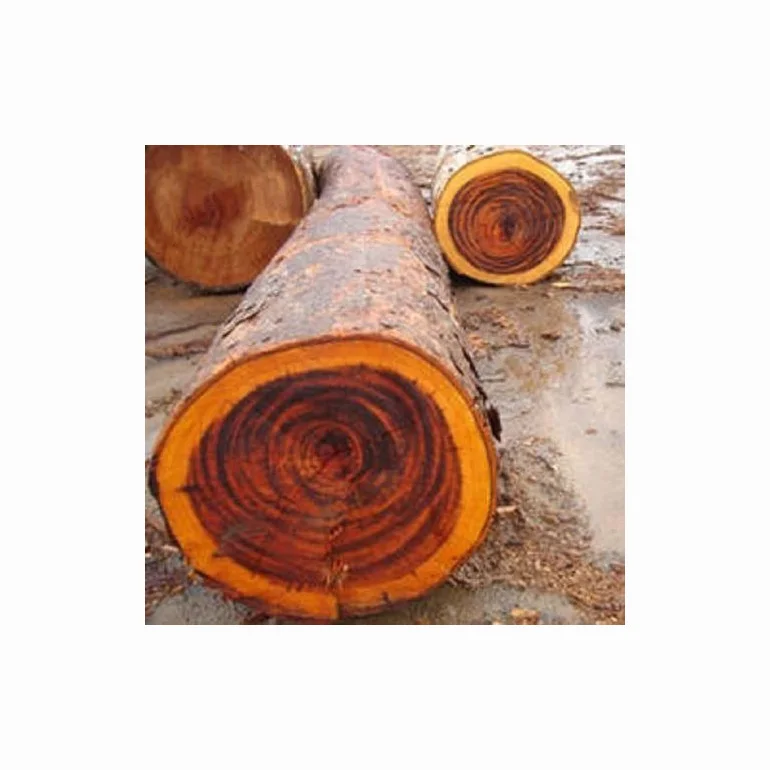 Hot Selling Price Oak Wood Lumber / Timber / Logs in Bulk Cheap price