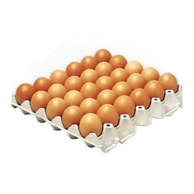 Fresh White and Brown Shell Table Chicken Eggs