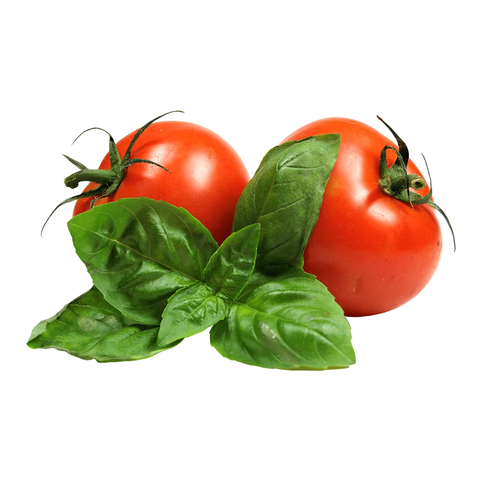 Best Price with High Quality Frozen Whole Tomatoes From VietNam Ready to shipped and carefully packed