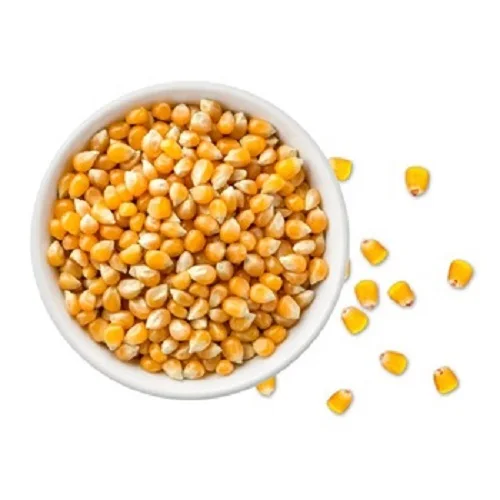 Air Dried Non GMO Yellow White Corn