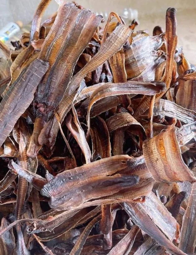 NEW PRODUCT! DRIED EARTHWORMS BIG SIZE WITH HIGHT QUALITY FOR EXPORTING FROM VIETNAM 2023