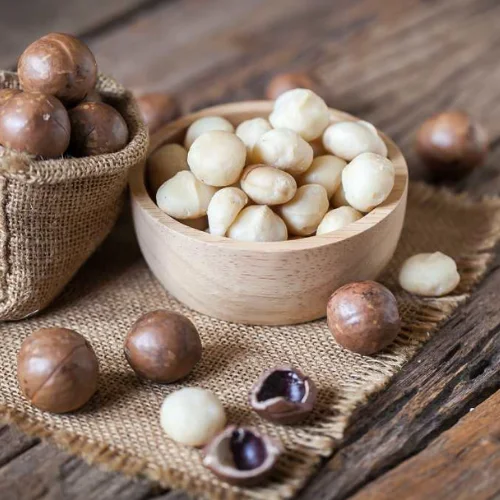 High-Quality Macadamia Nuts In Bulk Order Macadamia Nuts For Wholesale Perfect For Food Industry Applications