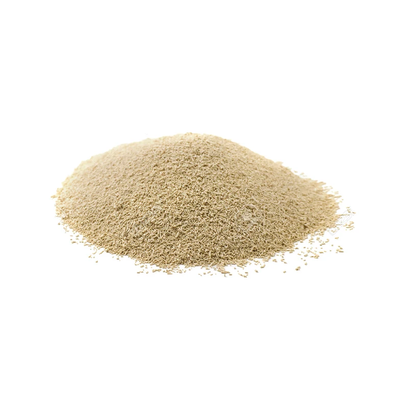 High Quality Made in Italy Instant Dry Yeast ALEAFERM BAKY Bakery Yeast Swelling Yeast For Bread For Sale