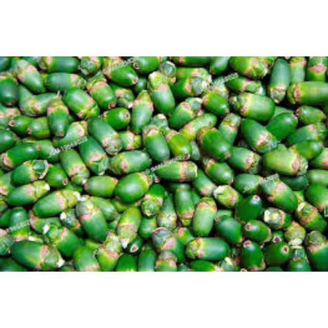 Бесплатный образец! Замороженные фрукты Areca/молодая Пальмовая гайка в вакуумном пакете с высоким качеством и лучшей ценой из Вьетнама в 2022 году