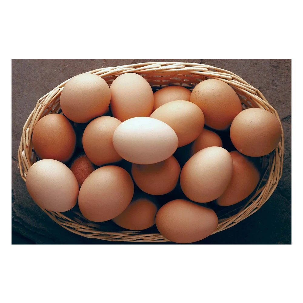 Best Factory Price of Natural Brown Table Chicken Eggs For Sale