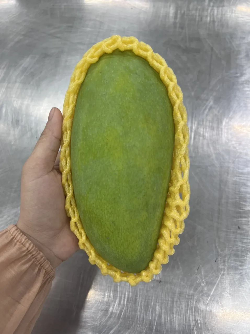 Fresh Cat Chu Mango Vapor Heat Treatment (VHT) Vietnam Green Mango