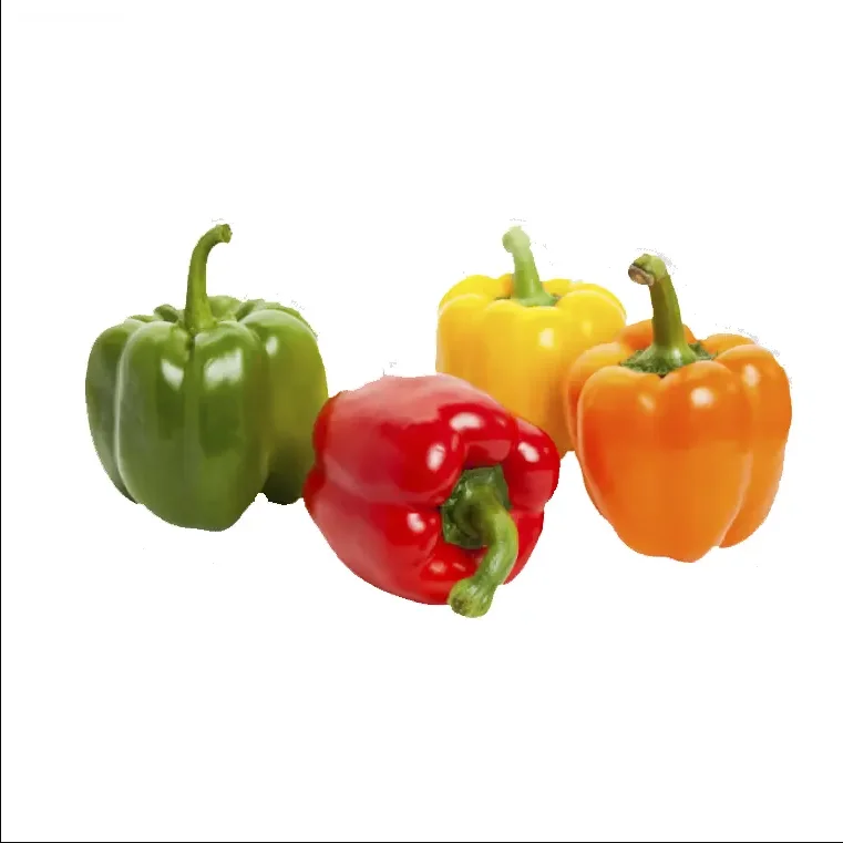 New Season Bell Pepper Sweet And Fresh In Red Yellow Green Bell Pepper From France With High Quality