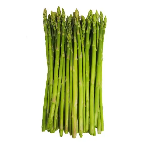 100% FRESH ASPARAGUS SUPER HIGH STANDARD WITH COMPETITIVE PRICE FROM VIETNAM 2023