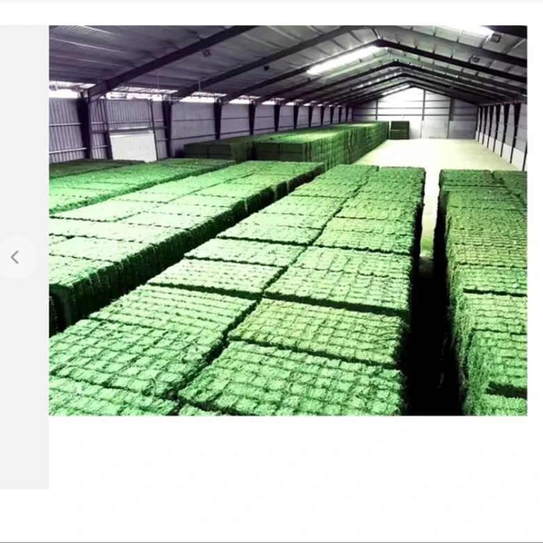 Buy Alfalfa Hay Price China Direct From Alfalfa Hay Price Factories Buy alfalfa hay compressed Price China Trade