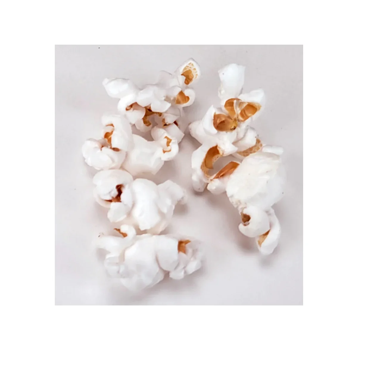 New Popcorn Kernel for sale / Butterfly Popcorn and cheap price best quality Mushroom Popcorn Kernels for sale