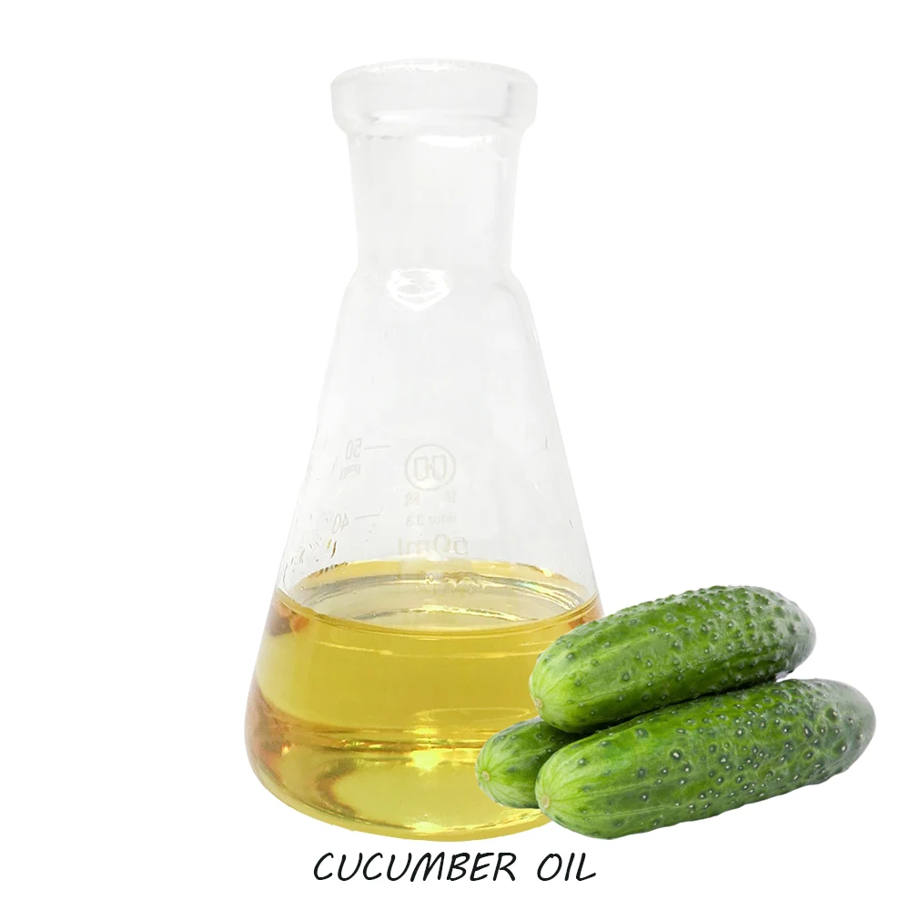 High Quality 100% Natural Products Fresh Food Grade Green Cucumber for Export 2023