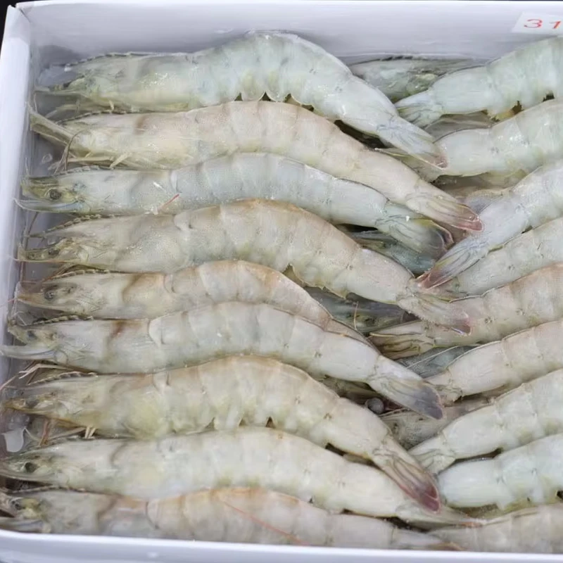 Best Price Fresh Frozen Whole Vannamei Shrimp White and Black Tiger Shrimp Prawn Made In Viet Nam