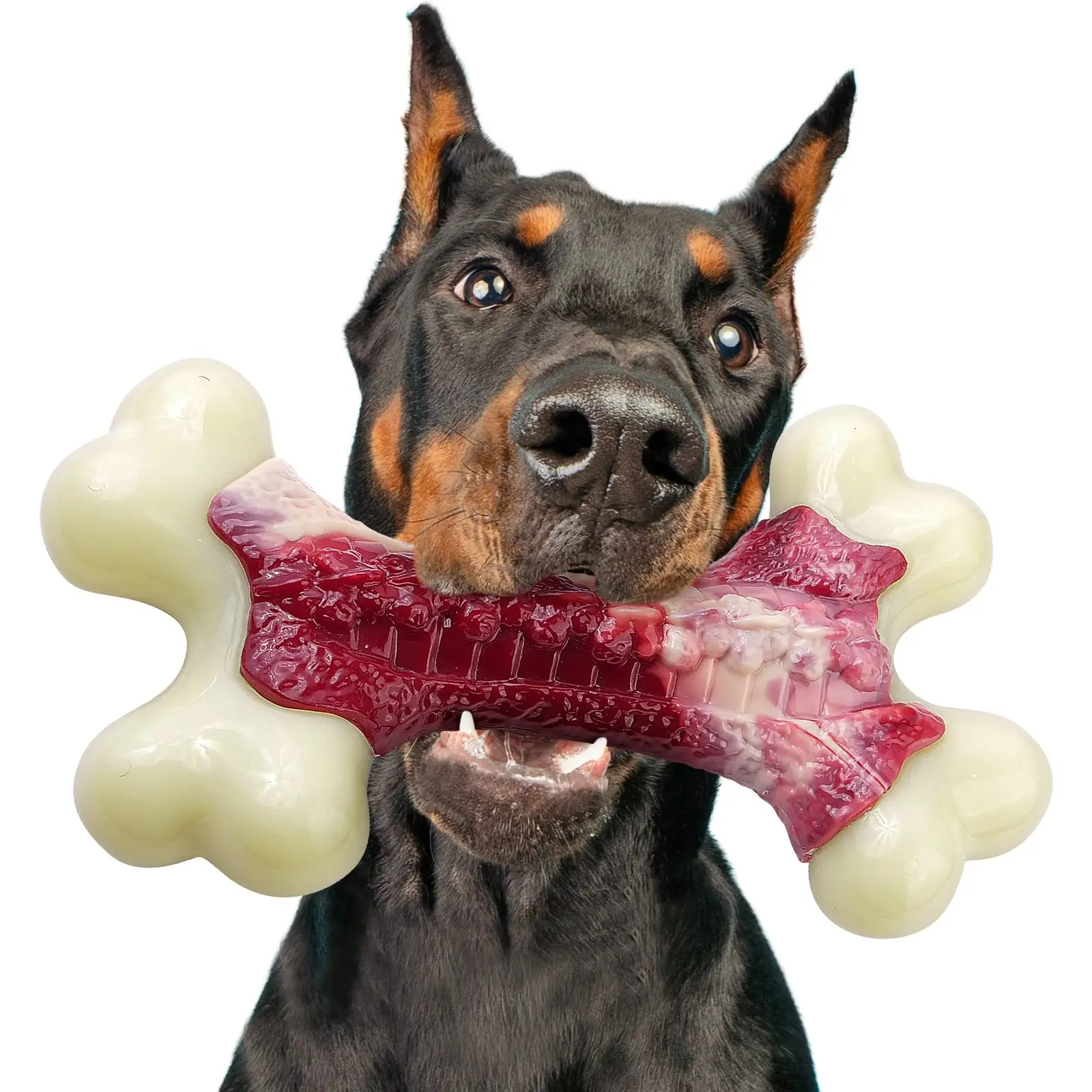 Tough dog toys for aggressive chewers Dog bones made of nylon and rubber Medium-sized puppy chew toys Teething chew toys