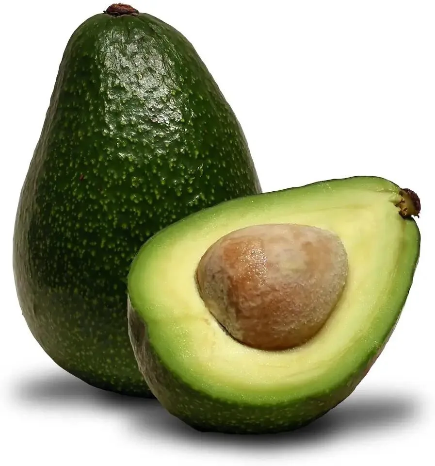 Yummy Organic and Thick Hass Avocado for Wholesale Hass Avocado With Best Express Delivery