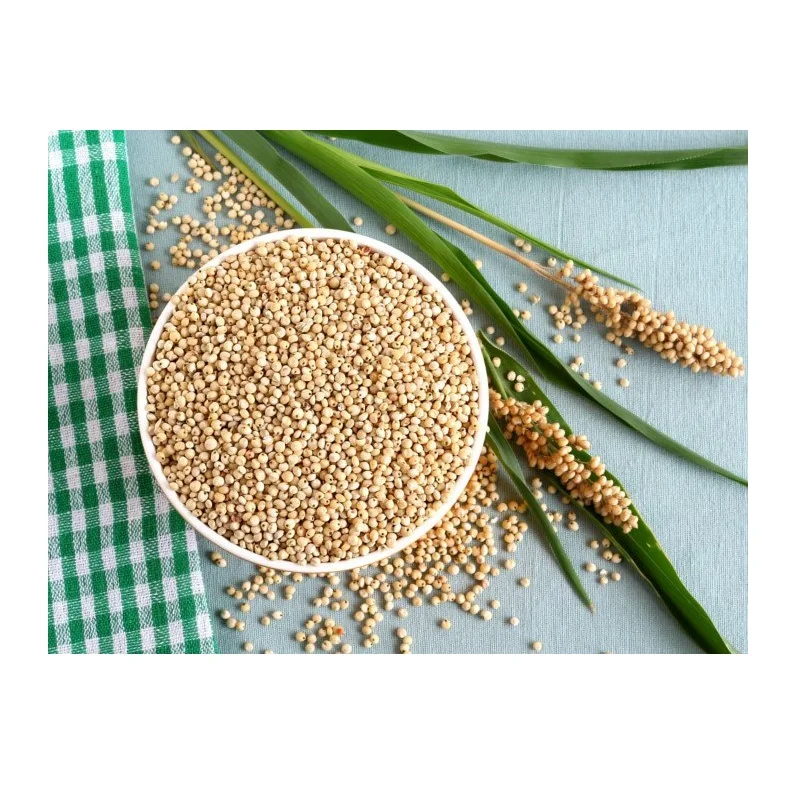 100% Pure Natural Quality Organic Whole Sorghum Grains At Best Wholesale Pricing