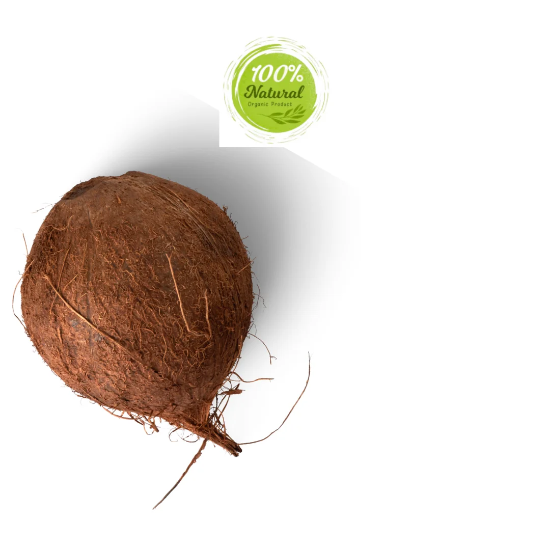 Dried coconut - A dynamic ingredient in gluten-free breading