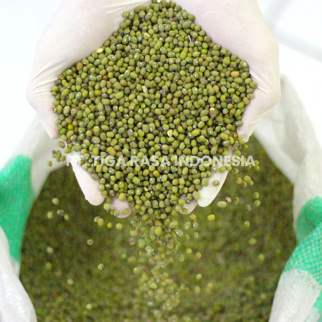 Unpolished Mung Beans Indonesia Green Mung Bean