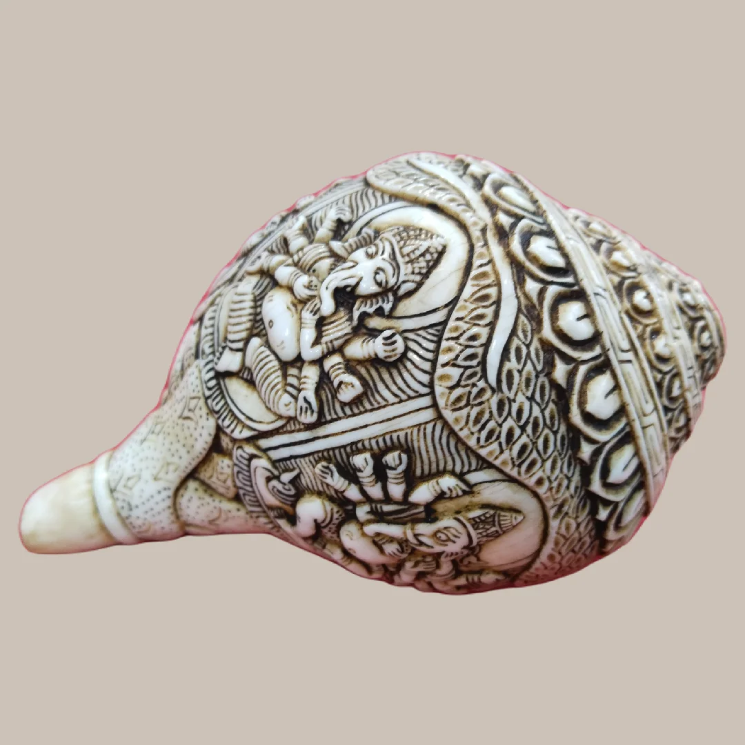 Panchamukhi Ganesh Carved Conch Shell Decor Handicraft Ivory Religious Buddhist Art Raw Technique with Animal and Cross Style