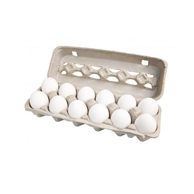 Supplier Chicken Eggs from Brazil Farms Cheap Direct Sale Organic White Chicken Eggs Broiler Chicken Eggs For Sale