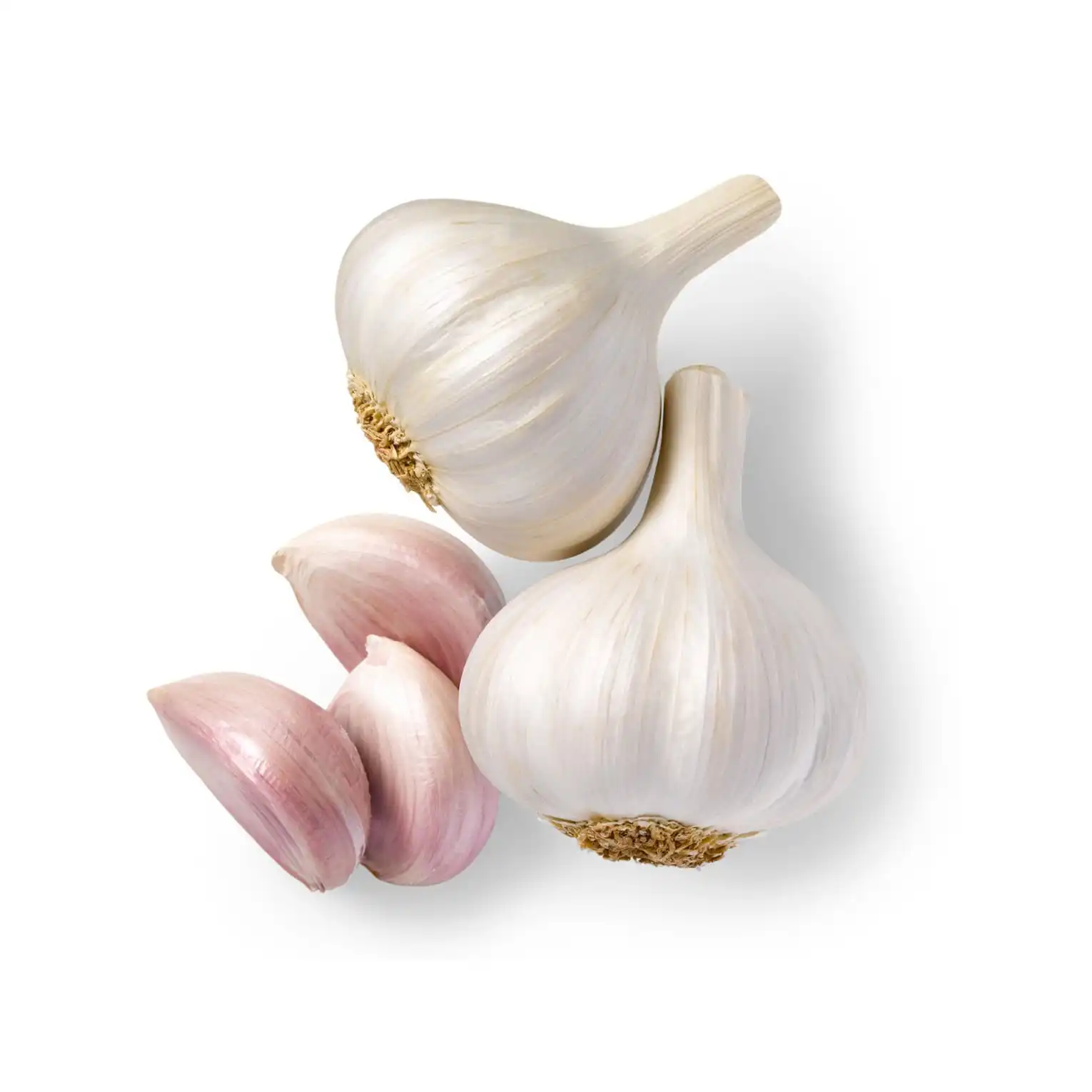 Fresh Chinese garlic Wholesale Export Preferential Price And High Quality
