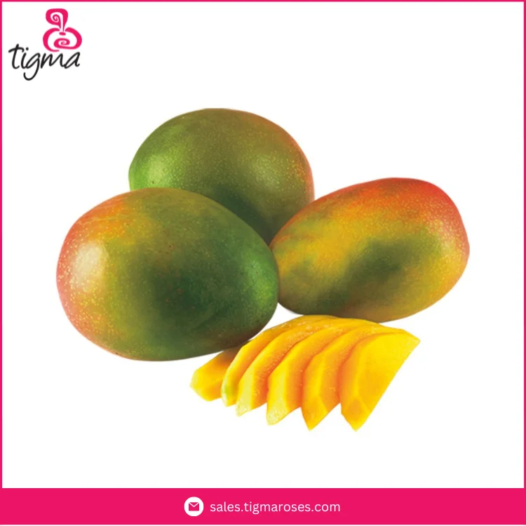 Ecuador Origin Dealer Selling Premium Quality Fresh Kent Mangoes for Wholesale Purchasers