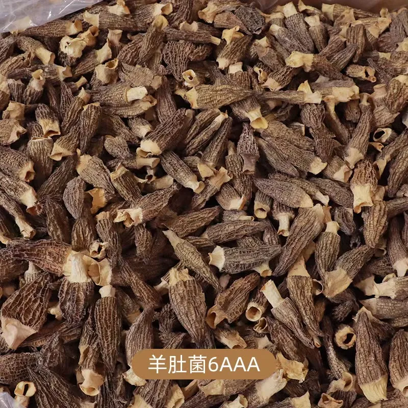 High End Wholesale Price Morels Organic Dried Morels Morels Black Mushrooms AD Black Mushroom Growing Bag Carton, Bag IQF Yunnan