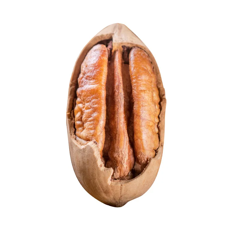 Agricultural Farm Price Pecan Nuts South Africa Raw Pecan Nut Roasted Pecan Nuts Price