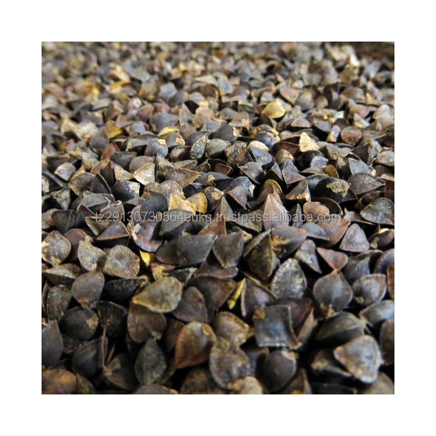 Wholesale hulled buckwheat / Buckwheat grain / buckwheat seed
