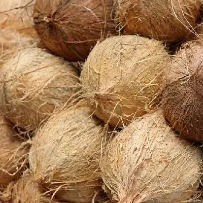 Semi Husked Coconut for Thailand Market - Semi Husked High Quality Coconut - Good Product Good Food Ingredient