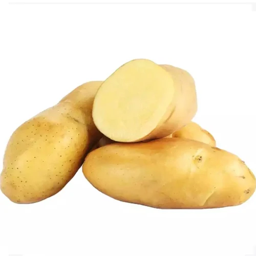 New crop of fresh potatoes for Export to the world high quality sweet potato low price top grade products