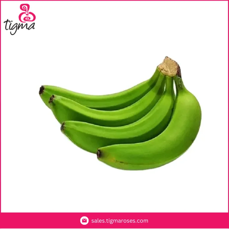 Поставщик Ecuador продает 100% органический Свежий Кавендиш Банан для оптовых покупателей