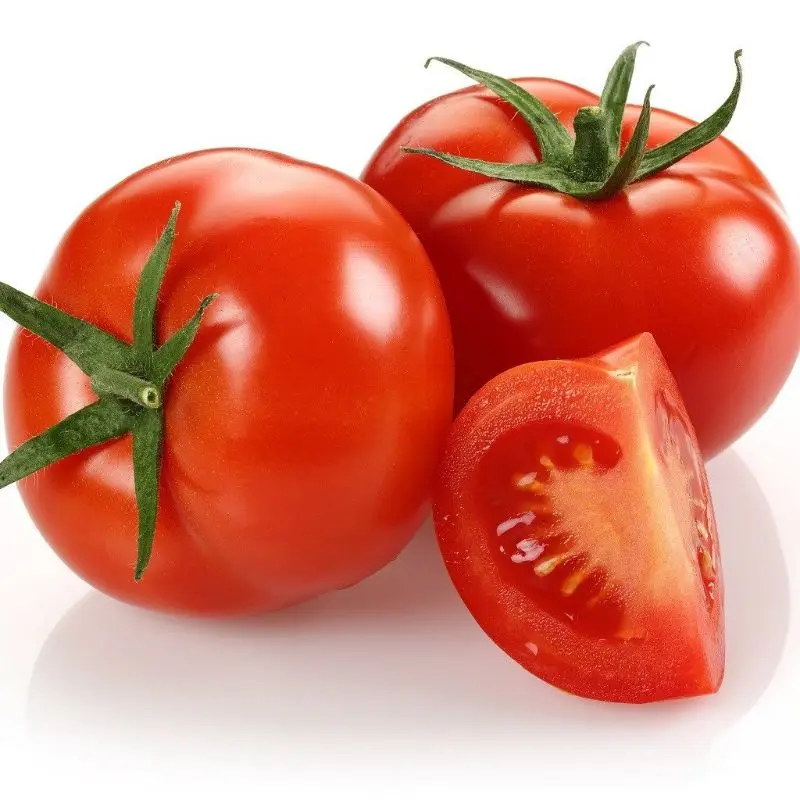 MN GLOBAL fresh vegetable  sale for tomato export in can packing