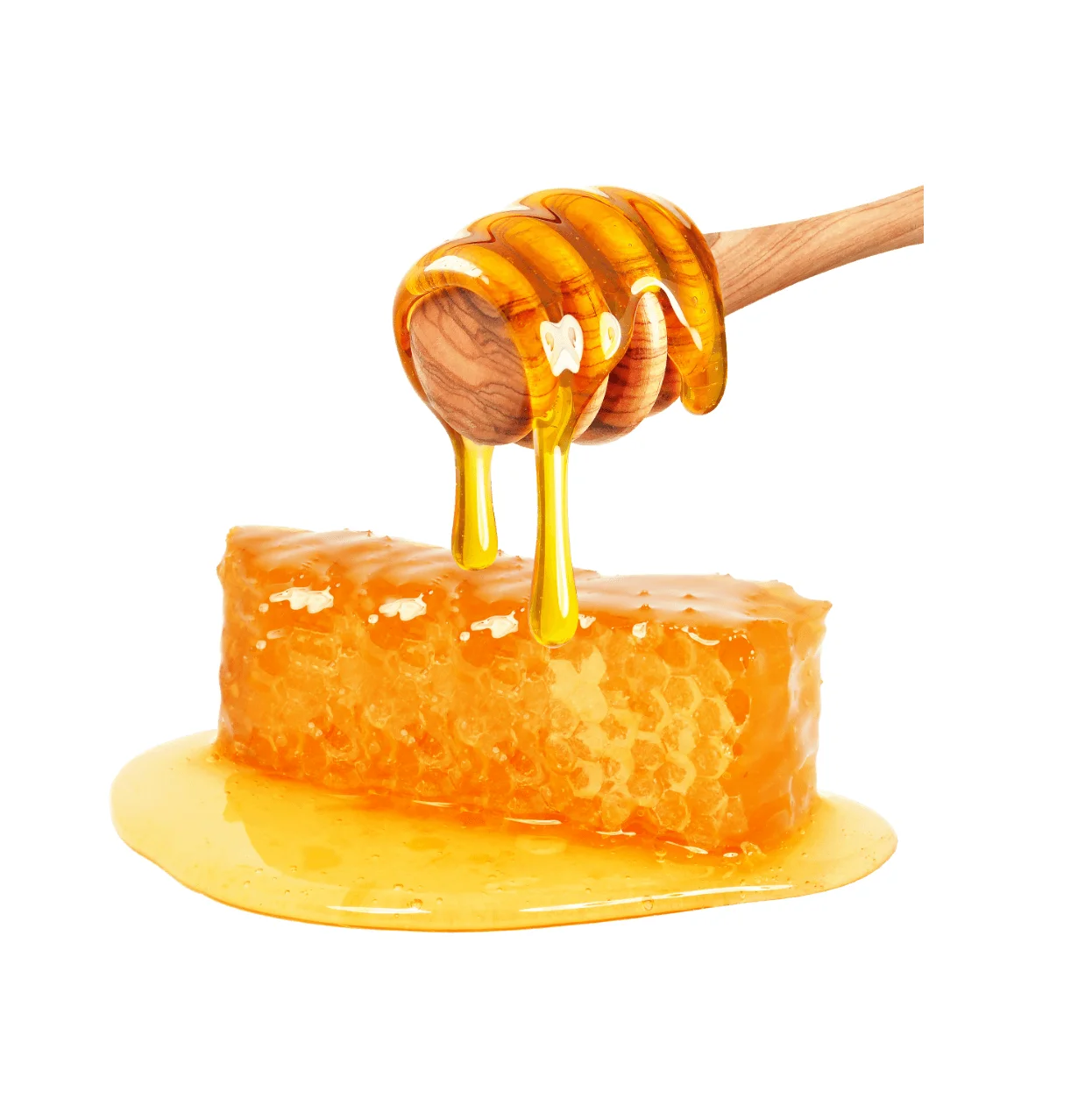Special Sweet Honey Bee Biggest Sales This Year 2022 High Quality Honey Bee For Cooking Materials Cosmetics