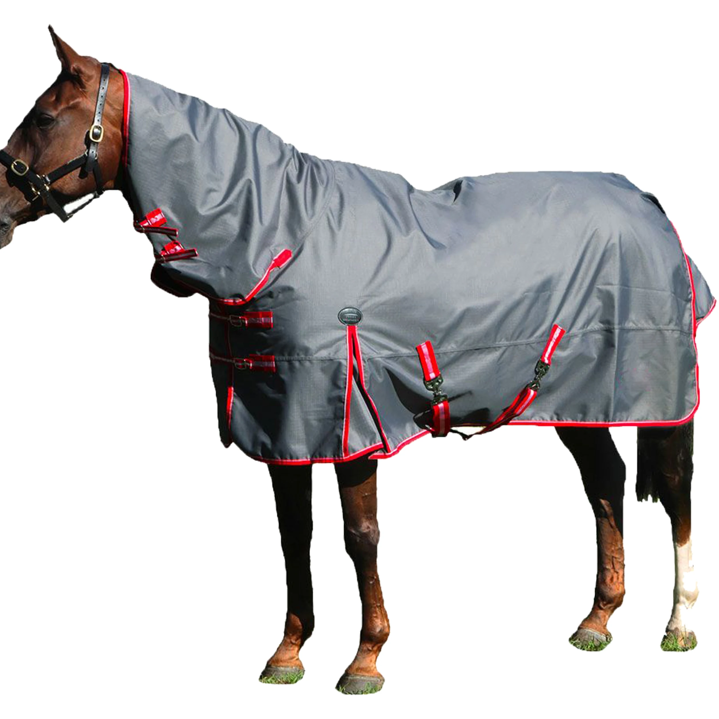 Horse Equipment Cotton Winter Equine Products Breathable Saddle Equestrian Waterproof Horse Rugs Neck Cover Blanket Pink Purple