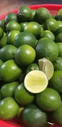 Feature vitamin C wholesale origin green shape price fresh citrus fruit Fresh Seedless Lime Lifefoods from Vietnam