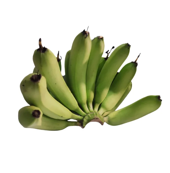 Tropical Fruit Vietnam Organic Fresh Best Ranking Product Grade A456 Cavendish Banana OEM ODM Customize Logo