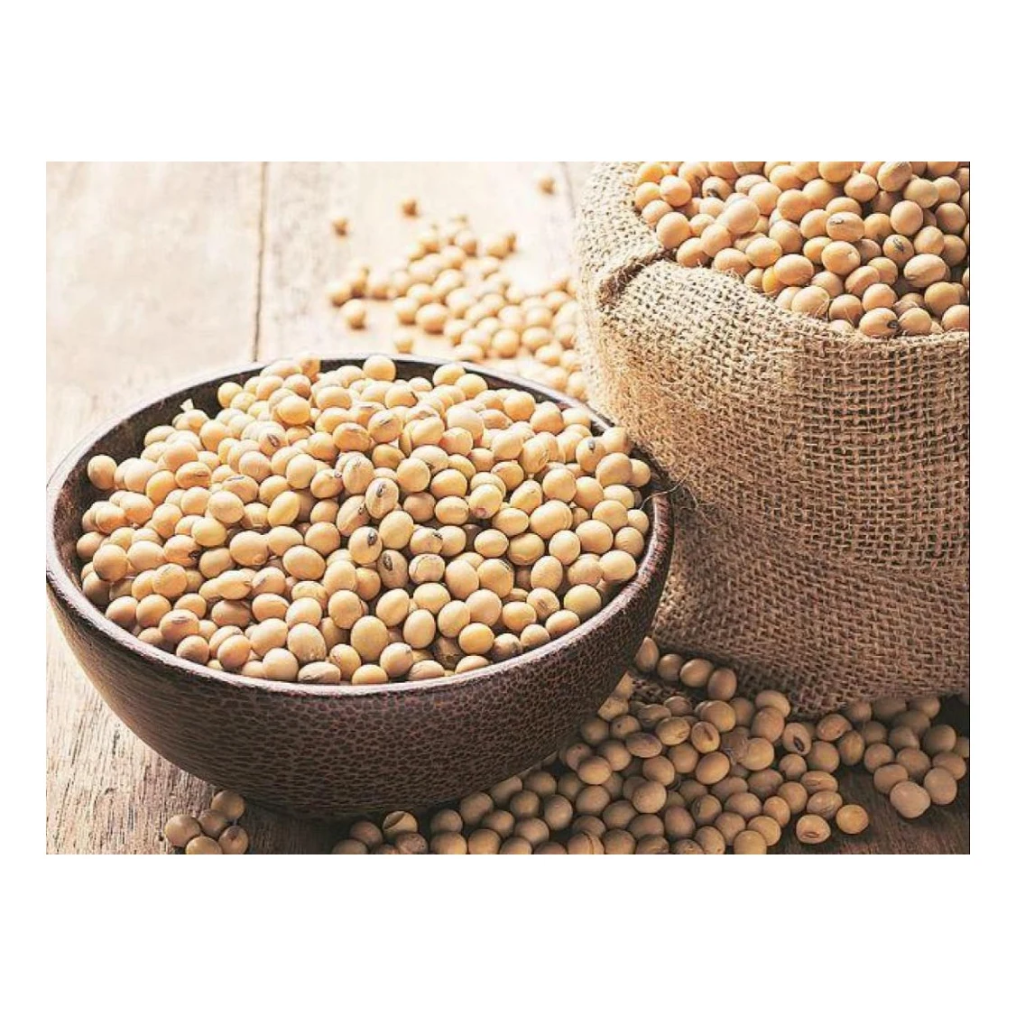 Brazil Soybean Meal Supplier - non GMO Soybean Meal Animal Fish Meal for sale