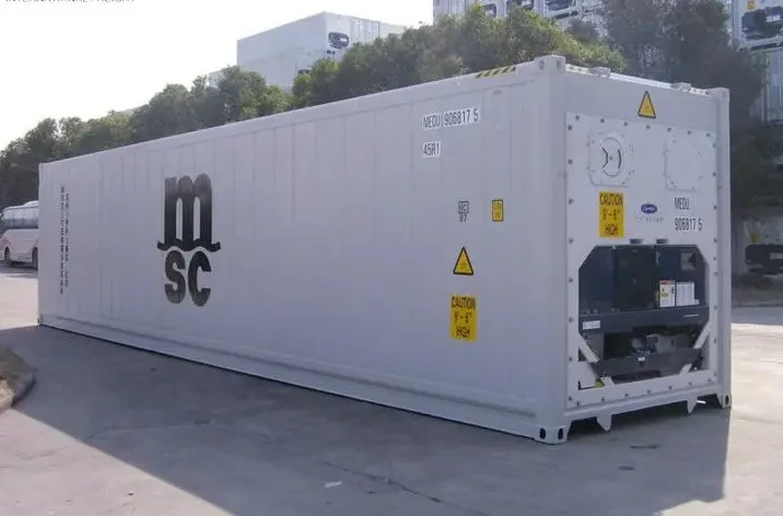 New  Refrigerated Freezer Frozen Fish and Meat Transport 20ft 20 ft Refrigerated Reefer Container