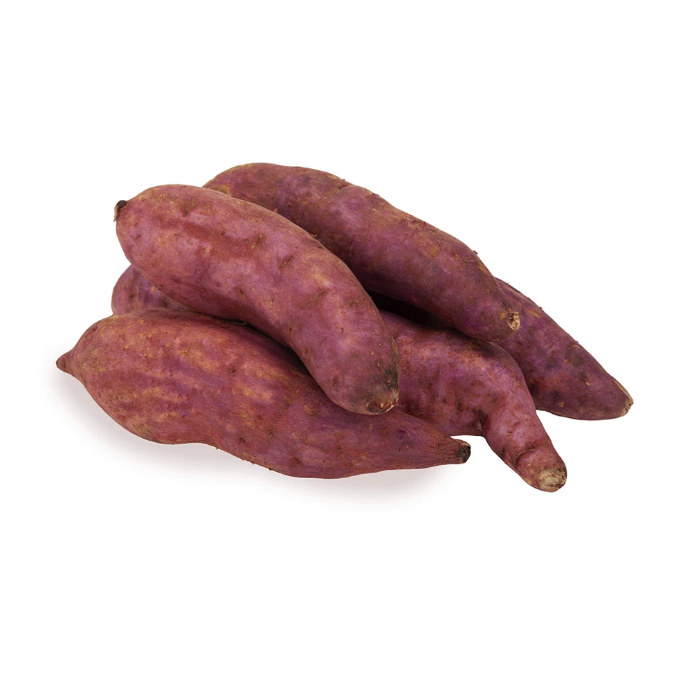 New Crop Best Quality Natural Vegetables Delicious Taste Crop Sweet Potato