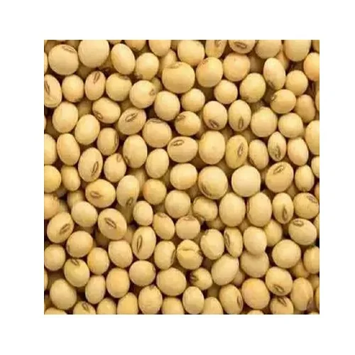 Non GMO соевые бобы высокого качества бобы/соевые для продажи