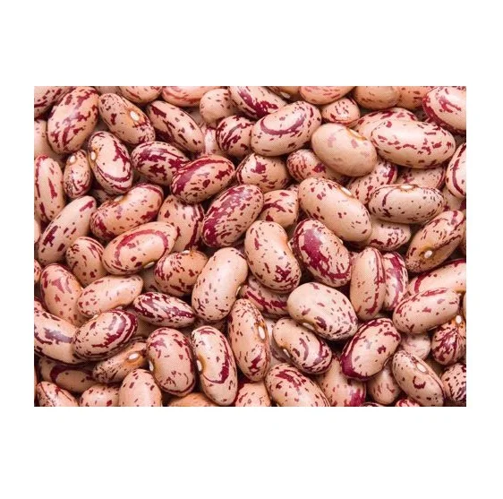 Dried Pinto Bean Best Price Light Speckled Kidney Beans