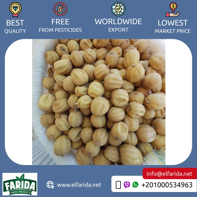Egypt Origin Supplier of Best Quality Premium Grade Delicious and Nutritious Fresh Citrus Fruit Yellow and Black Dried Lemon