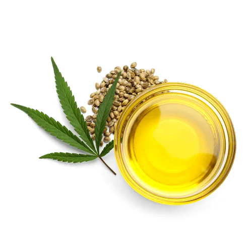 Organic Hemp Seed Oil at Lowest Price