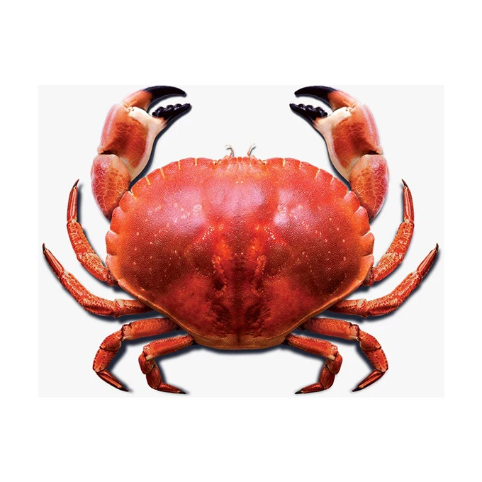 Высококачественный протеин высшего качества, хороший вкус, морепродукты большого размера, замороженные голубые крабы для плавания, Произведено из Бангладеш