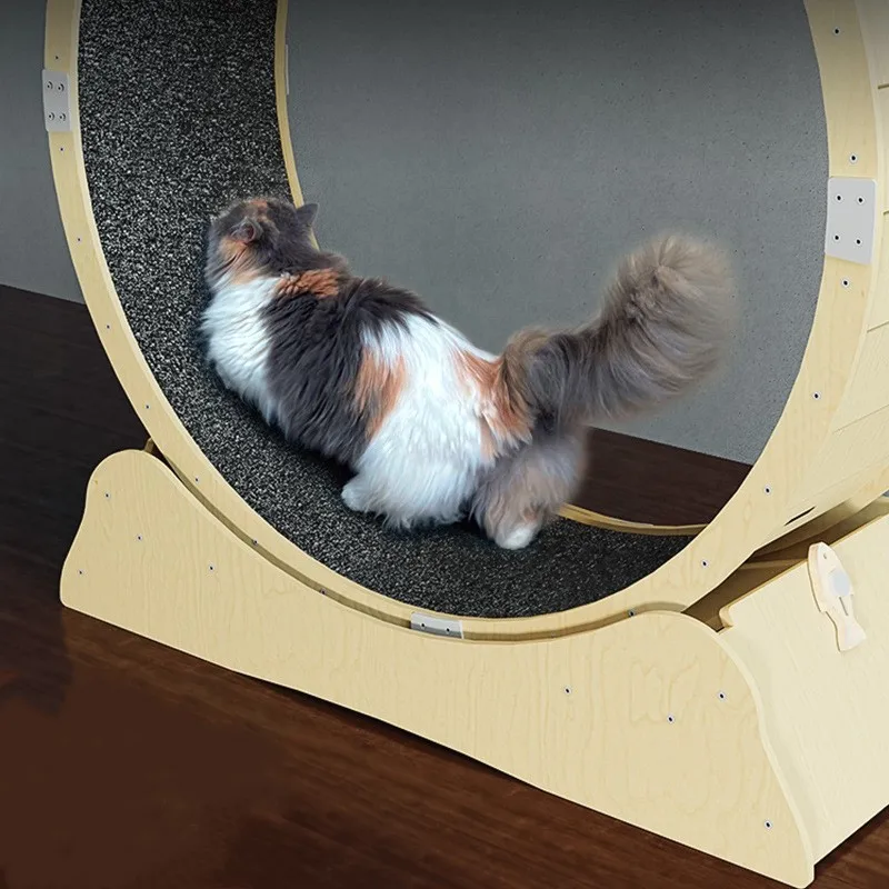 Home Indoor Cat Wheel Treadmill Exercise Cat Treadmill Running Wheel Cat Treadmill