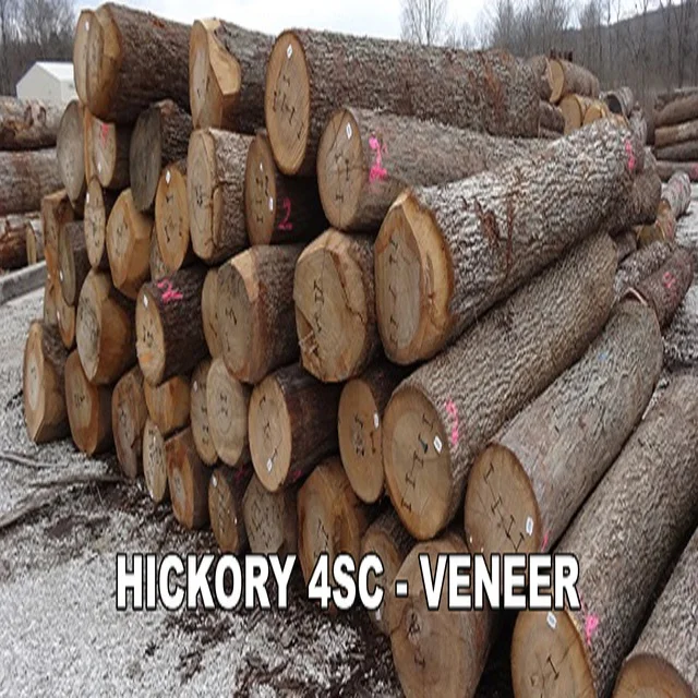 Baillie Lumber Hardwood Supplier-round Logs for Sale Variety Including Teak Sandalwood Pine Wood