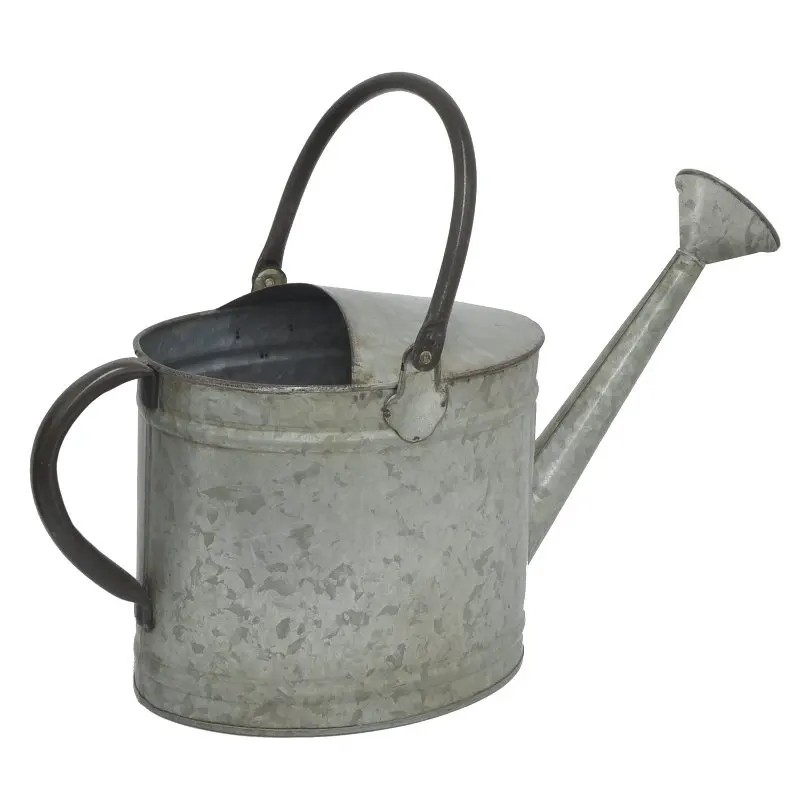 Antique Galvanized Iron Planter Watering  Can  Wholesale Manufacturer Custom Garden Decor Plant Watering Can