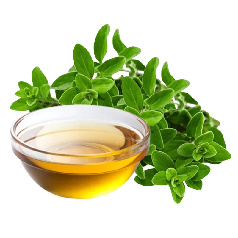 Buy Premium Quality Pure Organic Oregano Oil For Multi Uses Essential Oil Manufacture in India for Supply at Wholesale Prices
