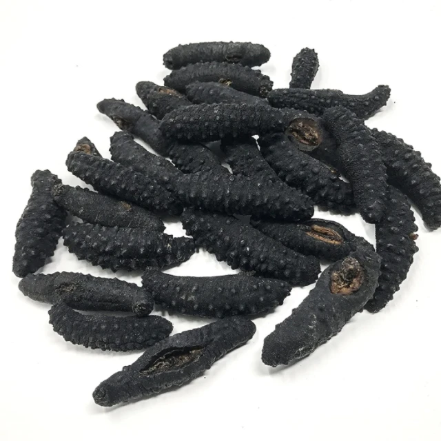 Wholesale Greece High Quality Fresh Seafood Fresh Delicious Dried Wild Animal Sea Cucumber