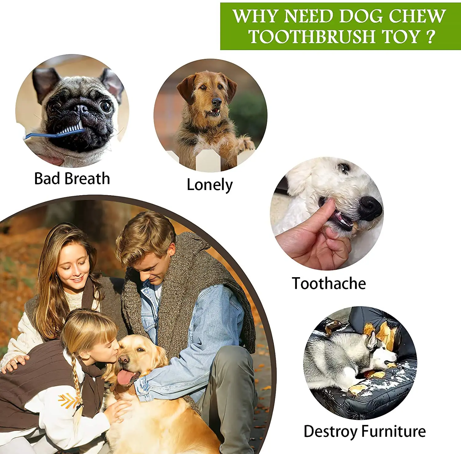 Rubber chew toys outdoor throwing recycling dog training supplies sound grinding teeth bite-resistant interactive pet dog toys